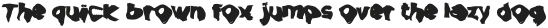 LD-Echowarp Warp Black Type 1 otf (900)