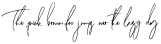 BantenLama-Regular otf (400)