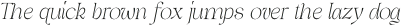 Dx Gaster Italic Thin Italic otf (100)