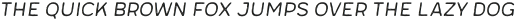 Meltow San 100 Rust Italic otf (100)