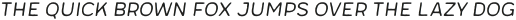 Meltow San 100 Handmade Italic otf (100)