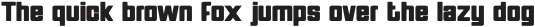 Divock Typeface Regular otf (400)