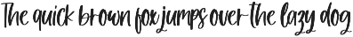 Winter Romance - Handwritten Font font preview