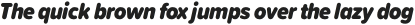 Proxima Soft Condensed Black Italic otf (900)