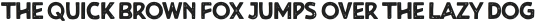 Stanley Union Sans Stamp otf (400)