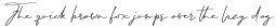 BomandaSignature-Italic otf (400)