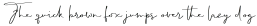 BomandaSignature otf (400)