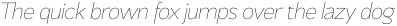 Mersin Thin Italic otf (100)