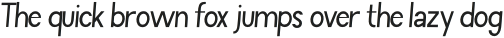 Romantic Thin Italic Regular otf (100)