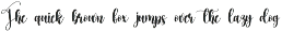 Arlian | Script Font preview
