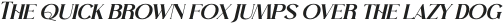 VIOLLEN Patricia Serif Italic otf (400)