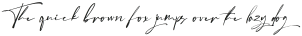 Forever Friends Script Font otf (400)