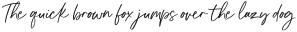 Dream You Regular otf (400)