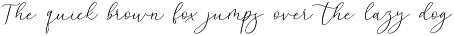 Beloved Mother | Calligraphy Font font preview