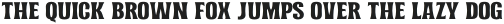 Norvin-Regular otf (400)