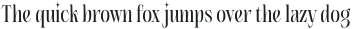 Giftcage Condensed otf (400)