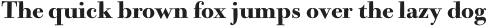 Bodoni Casale Heavy otf (800)