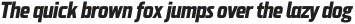 Probeta Extra Bold Italic otf (700)
