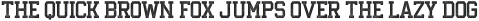 Courage Union Halftone otf (400)