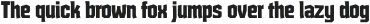 Huerto-Regular otf (400)