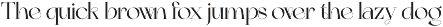 ZT Bolkit - Display Serif preview