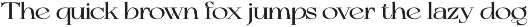 ZT Bolkit - Display Serif preview