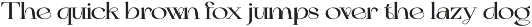 ZT Bolkit - Display Serif preview