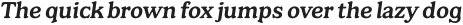 CA Edwald Medium Italic otf (500)