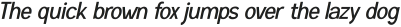Menta Sans Thin Italic otf (100)