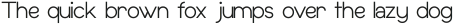 Bonwick Typeface Light ttf (300)