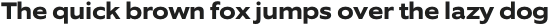 Fraset Display otf (400)