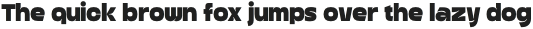 Benz Grotesk Heavy otf (800)