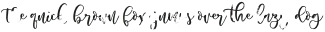 Roelle-SVG otf (400)