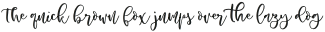 Roelle-Script otf (400)