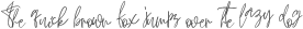 Shadow SVG ttf (400)