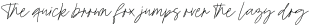 Other Pen otf (400)