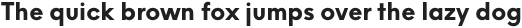 Nela Sans Bold otf (700)