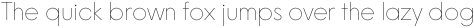 Nela Sans Thin otf (100)