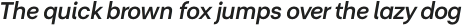 Radona Ext Bold Italic otf (700)