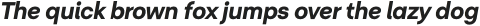 Radona Ext Black Italic otf (900)