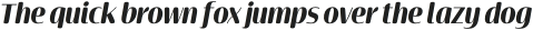 Terfens Contrast Cond Black Italic otf (900)