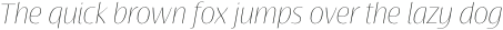 Terfens Contrast Ext Thin Italic otf (100)