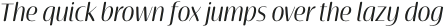 Terfens Contrast Cond Regular Italic otf (400)