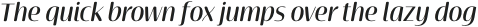Terfens Contrast Norm Medium Italic otf (500)