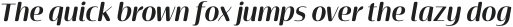 Terfens Contrast Ext Bold Italic otf (700)