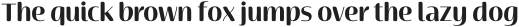 Terfens Contrast Norm Bold otf (700)