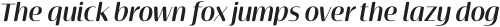 Terfens Contrast Ext Demi Italic otf (400)