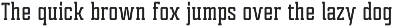 Tecnica Slab Font Family preview