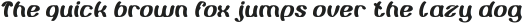 Painting the Light Italic otf (300)