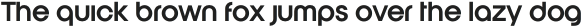 Hanno Regular otf (400)